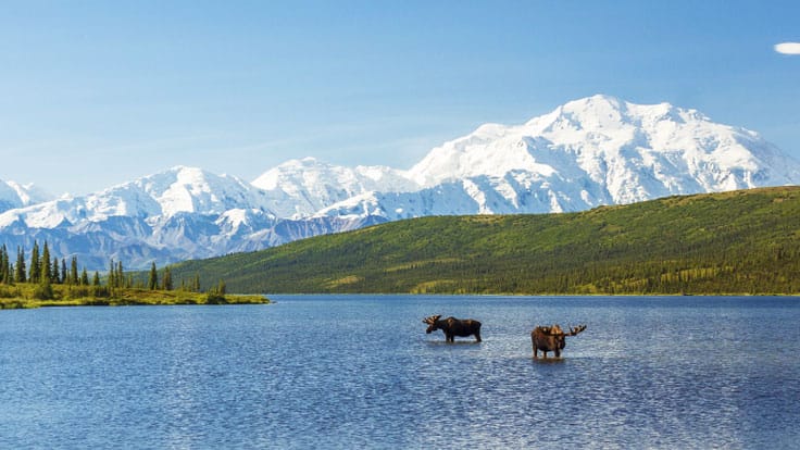 Create life long memeories while hiking across snow capped mountain peaks through Denali National Park and Peserve in Alaska with Oceania Cruises.