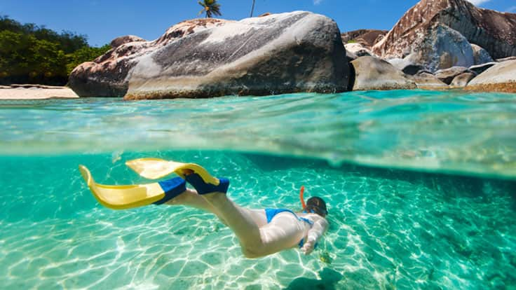 See the coral reefs, fishes or stingrays as you snorkel the waters of an eastern Caribbean island beach.