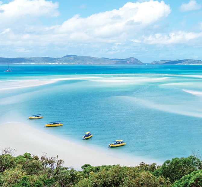 Australasian Allure