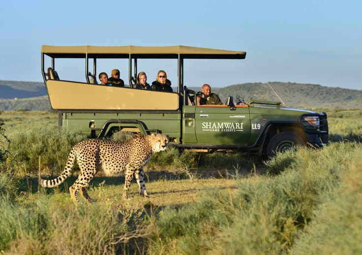 Eastern Cape Safari 