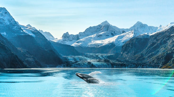 2026 Cruises to Alaska, Oceania Cruises Riviera