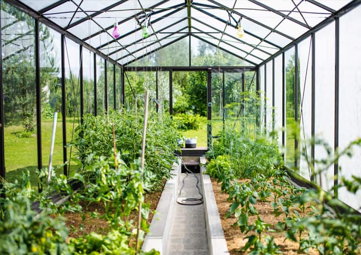 AMSTERDAM, NETHERLANDS