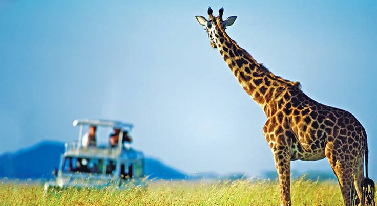 Africa Safari Shore Excursions