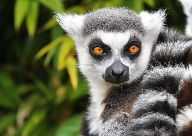 Toamasina, Madagascar